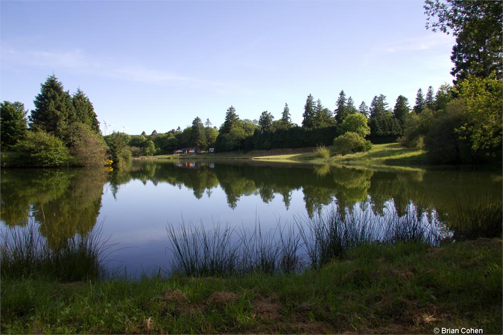 Swimming Lake